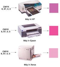 Quản lý màu trong in ấn (P2)